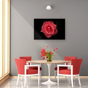 Tablou canvas - Simplitatea Este Frumusete, Trandafir, Floare, Rosu, Negru, Petale, 40 x 60 cm - Img 4