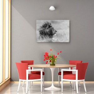 Tablou canvas - Singuratatea regelui, Nature, Animale Salbatice, Pradator, Puternic, 80 x 120 cm - Img 4
