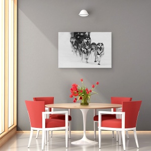 Tablou canvas - Sleddog Distractiv, Caine, Caini, Fuga, Fuga, Sanie, 60 x 90 cm - Img 4