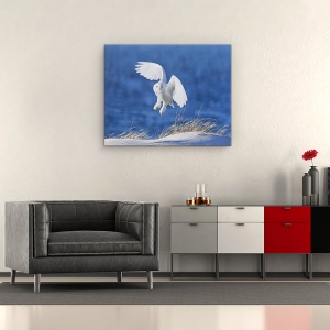 Tablou canvas - Spirit Alb, Bufnita De Zapada, Zbor, Zbor, Zapada, Iarna, 60 x 75 cm - Img 2