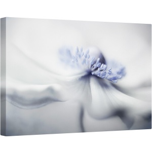 Tablou canvas - Spiritul Anemone, Anemona, Vara, Floare, Planta, 80 x 120 cm