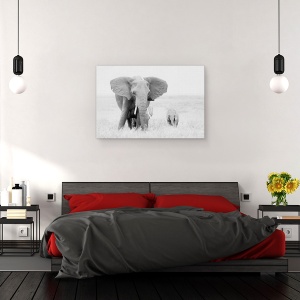 Tablou canvas - Stai Departe, Elefant, Salbatic, Natura, Animal, Dragut, 60 x 90 cm - Img 3