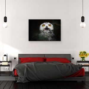 Tablou canvas - Stele Galbene, Animal, Ochi, Bufnita De Zapada, 40 x 60 cm - Img 3