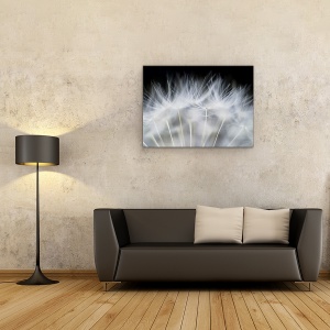 Tablou canvas - Sufla, Smoc Pufos, Papadie, Macro, Pana, 75 x 100 cm - Img 2