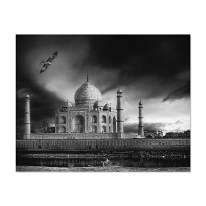 Tablou Canvas - Taj Mahal, Cladire, Caine, Vultur, Arhitectura, Alb/Negru, 80 x 100 cm