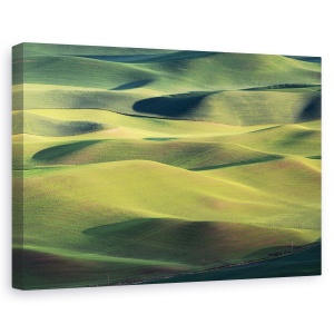 Tablou canvas - Teren De Vis, Palouse, Campuri, Dimineata, Lumina, Peisaj, 60 x 90 cm