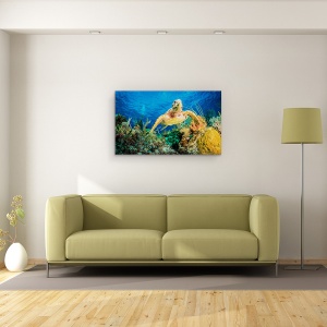 Tablou canvas - testoasa Hawksbill Inotand Prin Reciful Din Caraibe, Broasca Testoasa, Ocean, Scufundare, Caraibe, 50 x 80 cm - Img 2