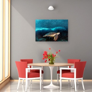 Tablou canvas - Testoasa Si Sardine, Scoala, Sub Apa, Scufundari, 40 x 60 cm - Img 4