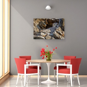 Tablou canvas - Timid, Natura, Salbatic, Animal, Bufnita, Salbatic, 40 x 60 cm - Img 4