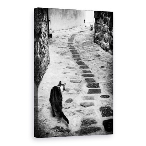 Tablou canvas - Timpul Infruntarii, Pisica, Strada, Vechi, Lupta, Pisici, 40 x 60 cm