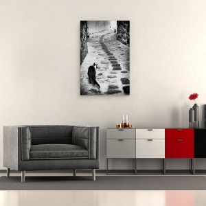 Tablou canvas - Timpul Infruntarii, Pisica, Strada, Vechi, Lupta, Pisici, 60 x 90 cm - Img 2