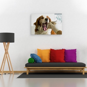 Tablou canvas - Timpuri Moderne, Caine, Dentist, Umor, Umor, Animal, 40 x 60 cm - Img 2