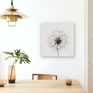Tablou Canvas - Tragopogon, Papadie, 60 x 60 cm - Img 4