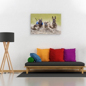 Tablou canvas - Trio Castigator, Antrenare, Ogar, Cursa, Caine, 40 x 60 cm - Img 2