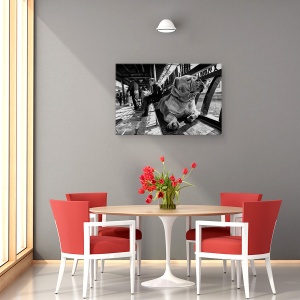 Tablou canvas - Trist, Caine, Pet, Strada, Alb-Negru, Banca, 60 x 90 cm - Img 4