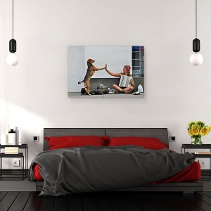 Tablou canvas - Trucuri, Femeie, Strada, Caine, Bate Palma, 60 x 90 cm - Img 3