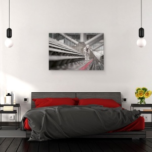Tablou canvas - Uneori Ninge In Aprilie, Caini, Zapada, Stare De Spirit, 40 x 60 cm - Img 3