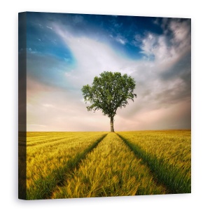 Tablou canvas - Unul, Copac, Singuratic, Perspectiva, Piese, 60 x 60 cm