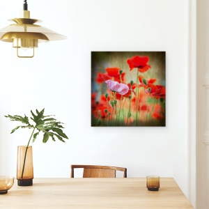 Tablou canvas - Unul, Maci, Roz, Rosu, Patrat, Floare, 60 x 60 cm - Img 4
