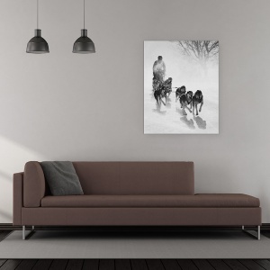 Tablou canvas - Urmarire, Sanie, Caini, Iarna, Actiune, Zapada, 60 x 75 cm - Img 2
