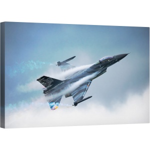 Tablou canvas - Vador, Luptator, Aviatie, Avion, Avion de Vanatoare, Aeronava, 50 x 80 cm
