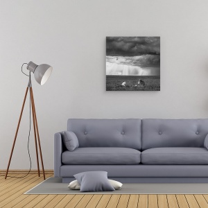 Tablou canvas - Valentine, Africa, Kenya, Lei, Dragoste, 60 x 60 cm - Img 2