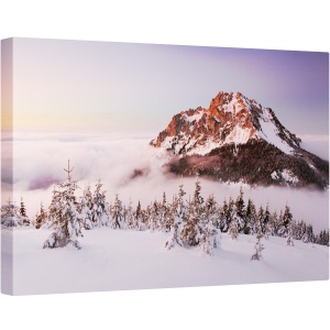 Tablou canvas - Varful Rozsutec, Munte, Slovacia, Iarna, Pomi, Summit, 40 x 60 cm