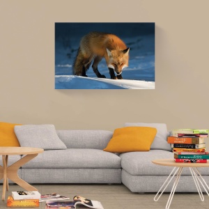 Tablou decorativ canvas vulpe natură