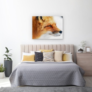 Tablou canvas - Vulpe Rosie, Natura, Blana, Animal, Mamifer, 50 x 70 cm - Img 3