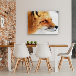 Tablou canvas - Vulpe Rosie, Natura, Blana, Animal, Mamifer, 75 x 100 cm - Img 4