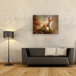 Tablou canvas - Vulpe, Vulpe, Bebe, Dragut, Animal, 75 x 100 cm - Img 2