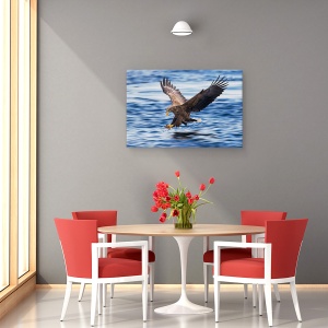Tablou canvas - Vultur Cu Coada Alba, Aterizare, Teren, Scufundare, 60 x 90 cm - Img 4