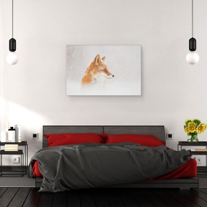 Tablou canvas - Zapada Cade, Kamceatka, Iarna, Vulpe, Animale, Natura, 40 x 60 cm - Img 3