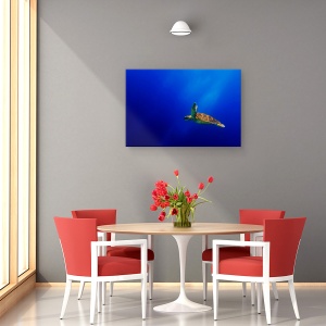 Tablou canvas - Zbor, Mare, Testoasa, Marina, Albastru, Ocean, 60 x 90 cm - Img 4