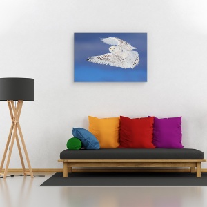 Tablou canvas - Zborul De Zapada - Bufnita De Zapada Iarna, Aripi, Rece, Pene, 80 x 120 cm - Img 2