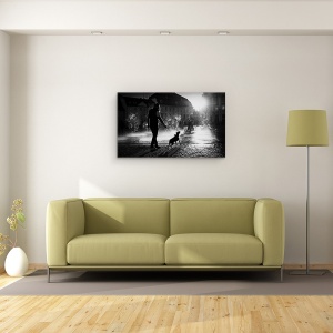 Tablou canvas - Zi Fierbinte, Strada, Caine, Pet, Soare, Lumina, 50 x 80 cm - Img 2