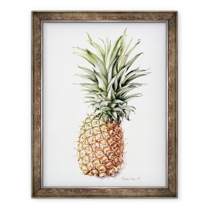 Tablou inramat - Alison Cooper - Ananas, 70 x 90 cm
