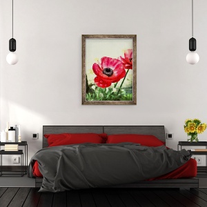 Tablou inramat - AlyZen Moonshadow - Anemone Rosii, 2013, 70 x 90 cm - Img 3