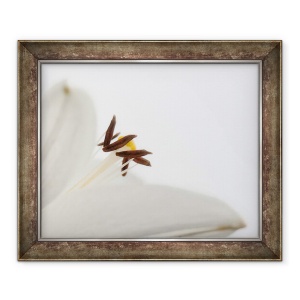 Tablou inramat - Ant Smith - Delicat floare alba, 2020, 50 x 60 cm