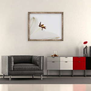 Tablou inramat - Ant Smith - Delicat floare alba, 2020, 50 x 60 cm - Img 2