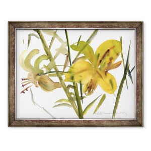 Tablou inramat - Claudia Hutchins-Puechavy - Crini, 60 x 80 cm