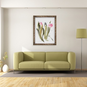 Tablou inramat - Claudia Hutchins-Puechavy - Lalele, 60 x 80 cm - Img 2