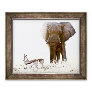 Tablou inramat - Eric Meyer - Bull elefant si Springbok, Etosha, 70 x 85 cm