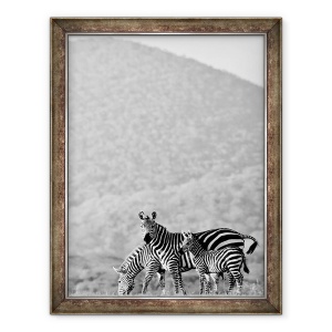 Tablou inramat - Eric Meyer - Zebra, Chyulus, 2018, 60 x 80 cm
