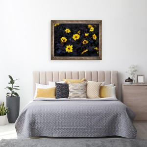 Tablou inramat - Helen White - Catifea galbena, 2019, 60 x 80 cm - Img 3