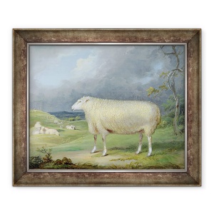 Tablou inramat - James Ward - O frontiera Leicester Ewe, 70 x 85 cm