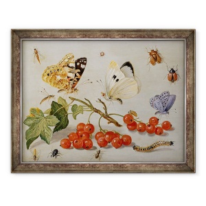 Tablou inramat - Jan van Kessel the Elder - O viata statica cu crenguta de coacaze rosii, fluturi, gandaci, 60 x 80 cm