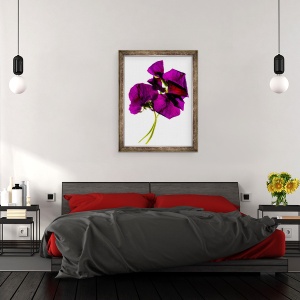 Tablou inramat - Julia McLemore - Panselute III, 60 x 80 cm - Img 3
