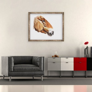 Tablou inramat - Mark Adlington - Cap antic Przewalski 2012, 50 x 60 cm - Img 2