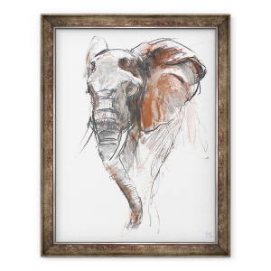 Tablou inramat - Mark Adlington - Frumos Elefant Femeie, Loisaba, 2018, 60 x 80 cm